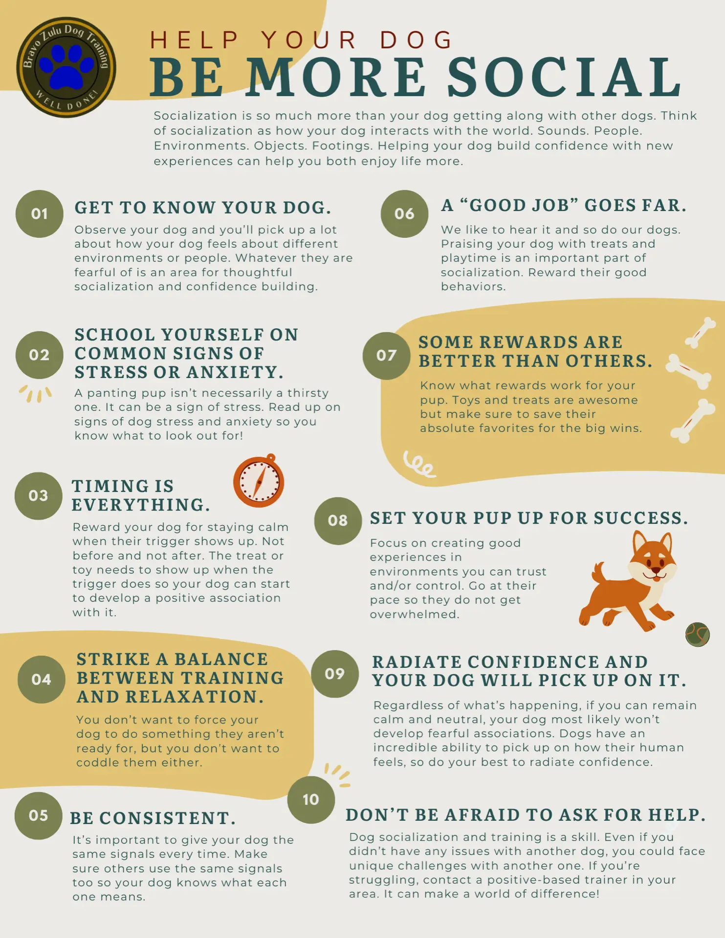 Copy of 10 Tips for Helping Your Dog Be More Social Flyer