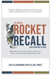 rocket recall