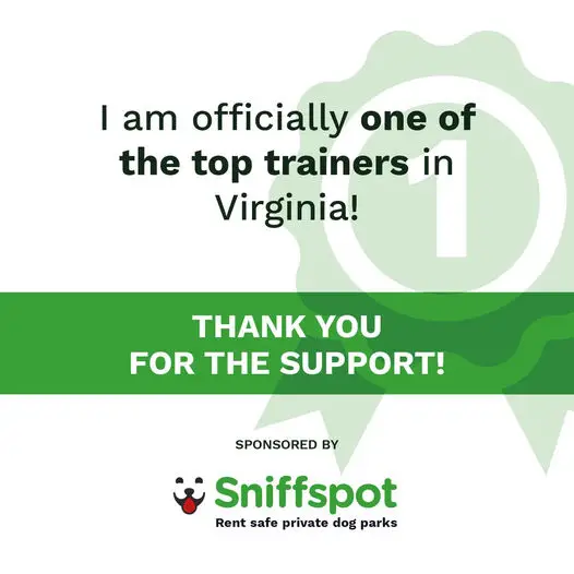 sniffspot top dog trainers in virginia